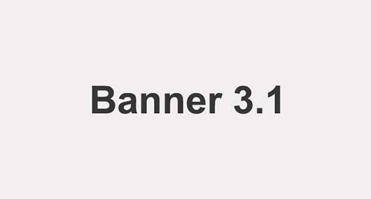 3.1